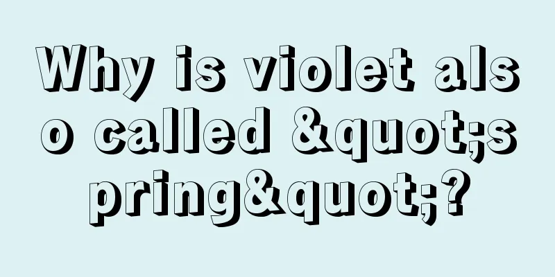 Why is violet also called "spring"?