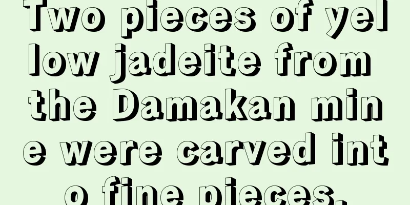 Two pieces of yellow jadeite from the Damakan mine were carved into fine pieces.