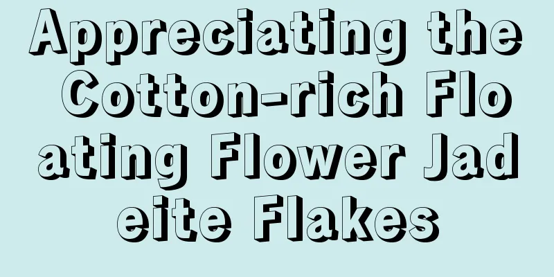 Appreciating the Cotton-rich Floating Flower Jadeite Flakes