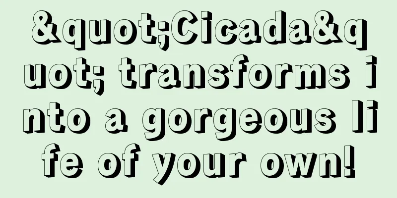 "Cicada" transforms into a gorgeous life of your own!