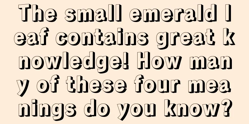 The small emerald leaf contains great knowledge! How many of these four meanings do you know?