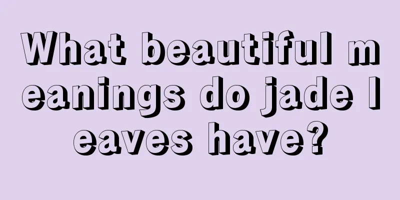 What beautiful meanings do jade leaves have?