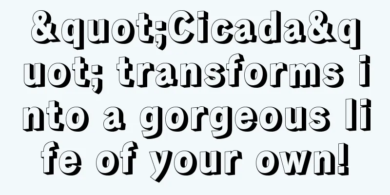 "Cicada" transforms into a gorgeous life of your own!