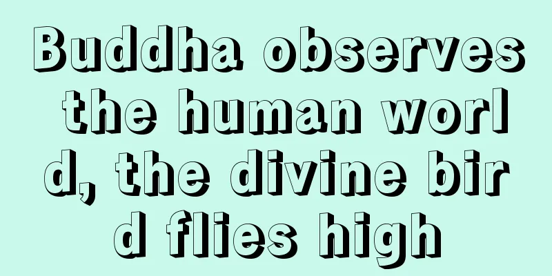 Buddha observes the human world, the divine bird flies high