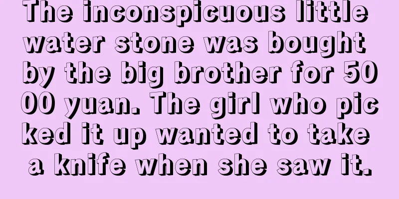 The inconspicuous little water stone was bought by the big brother for 5000 yuan. The girl who picked it up wanted to take a knife when she saw it.