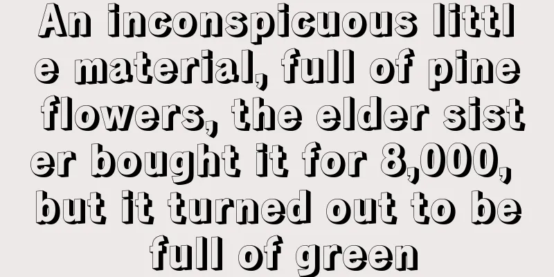 An inconspicuous little material, full of pine flowers, the elder sister bought it for 8,000, but it turned out to be full of green