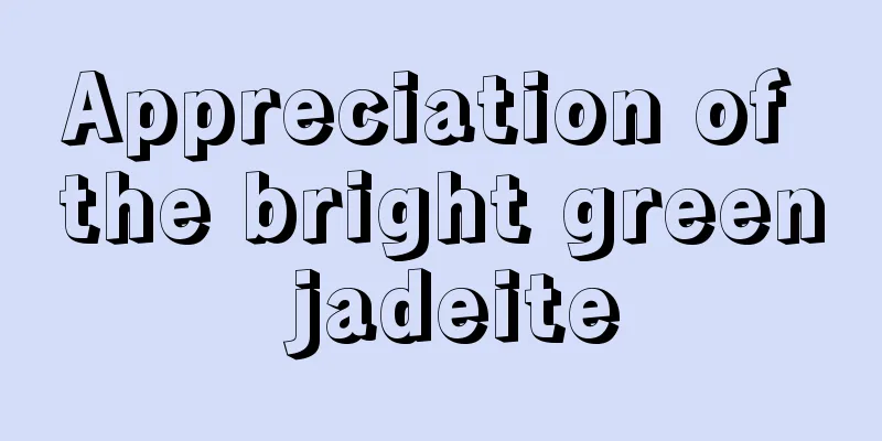 Appreciation of the bright green jadeite