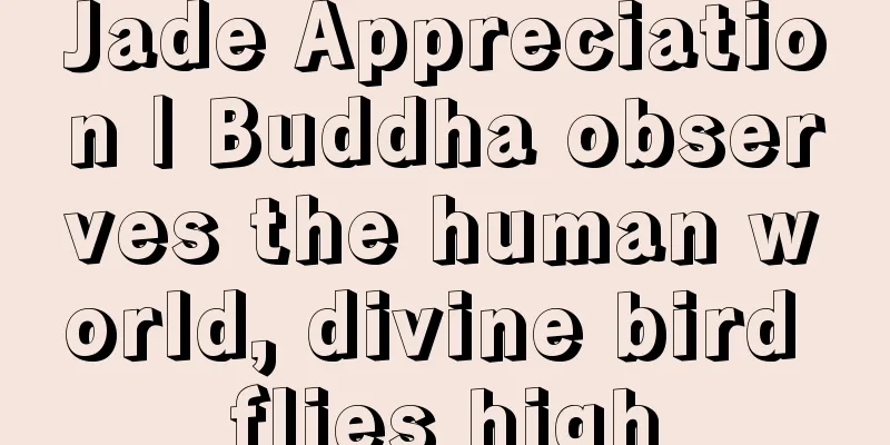 Jade Appreciation | Buddha observes the human world, divine bird flies high