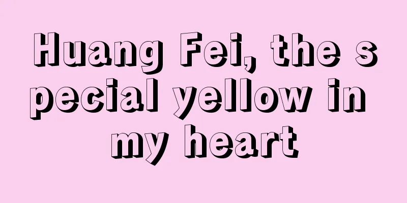 Huang Fei, the special yellow in my heart