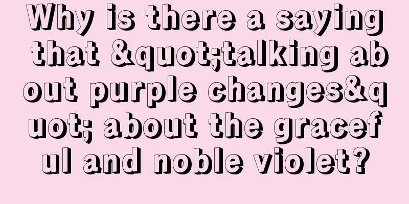 Why is there a saying that "talking about purple changes" about the graceful and noble violet?