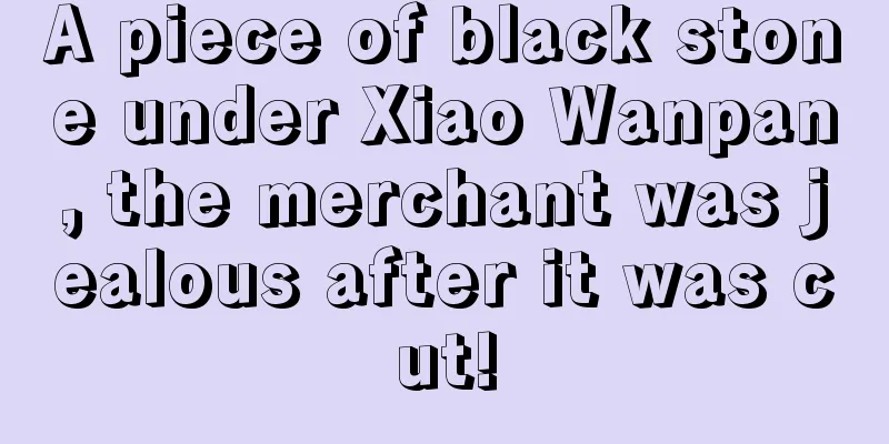 A piece of black stone under Xiao Wanpan, the merchant was jealous after it was cut!