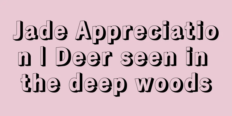 Jade Appreciation | Deer seen in the deep woods