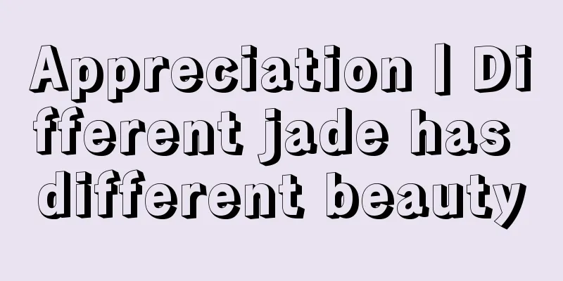 Appreciation丨Different jade has different beauty