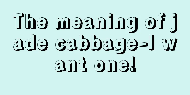 The meaning of jade cabbage-I want one!