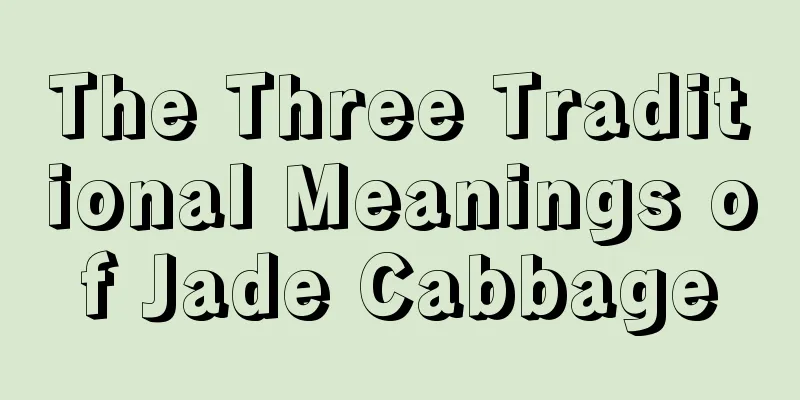 The Three Traditional Meanings of Jade Cabbage