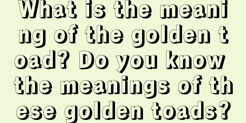 What is the meaning of the golden toad? Do you know the meanings of these golden toads?