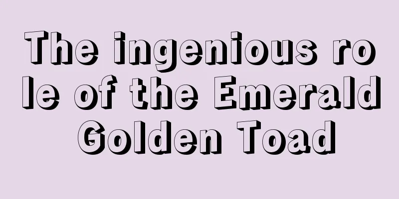 The ingenious role of the Emerald Golden Toad