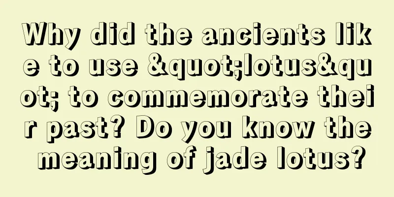 Why did the ancients like to use "lotus" to commemorate their past? Do you know the meaning of jade lotus?