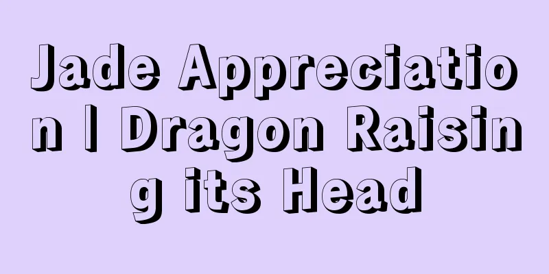 Jade Appreciation | Dragon Raising its Head