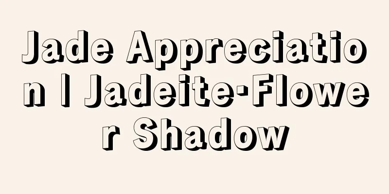 Jade Appreciation | Jadeite·Flower Shadow