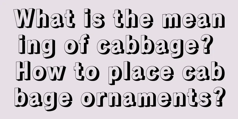 What is the meaning of cabbage? How to place cabbage ornaments?