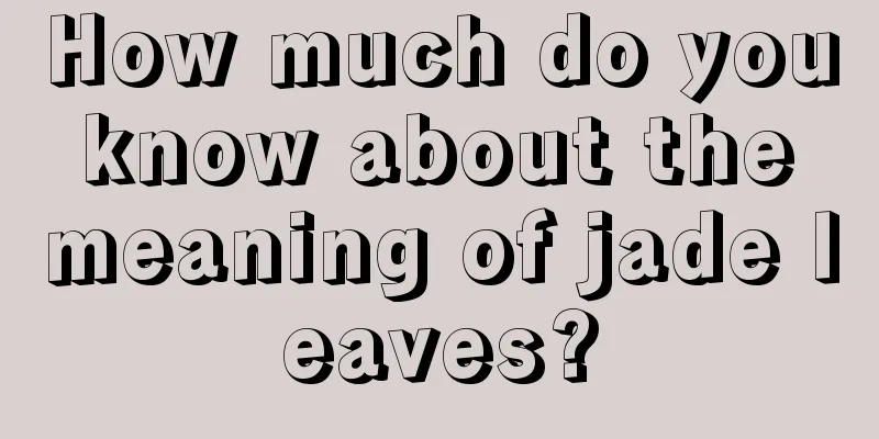 How much do you know about the meaning of jade leaves?