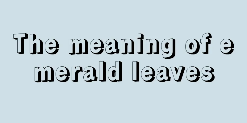 The meaning of emerald leaves