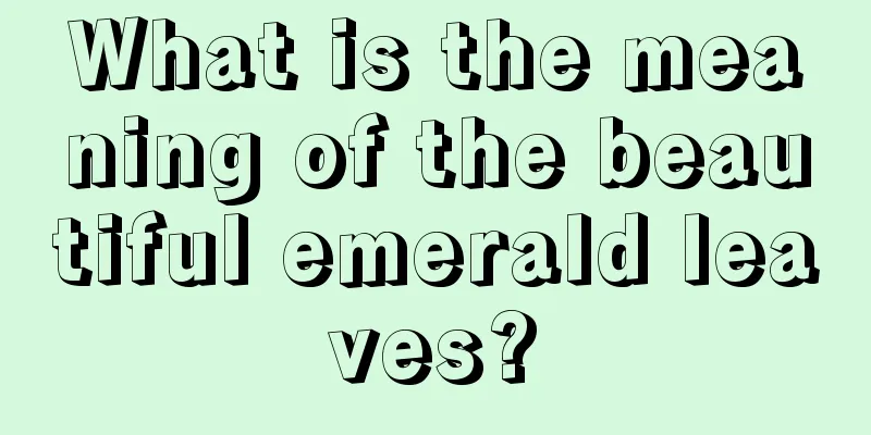 What is the meaning of the beautiful emerald leaves?