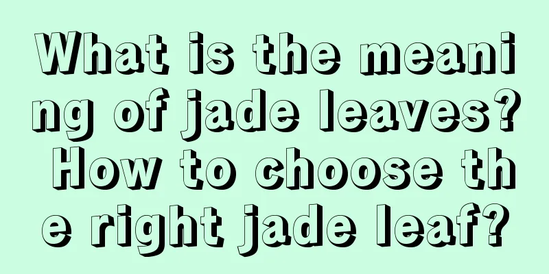 What is the meaning of jade leaves? How to choose the right jade leaf?