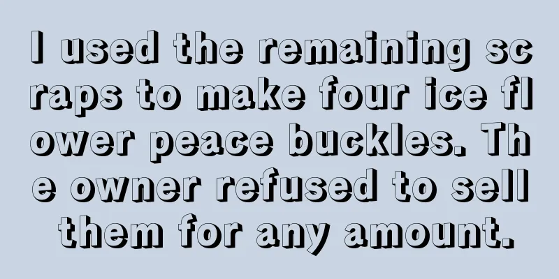 I used the remaining scraps to make four ice flower peace buckles. The owner refused to sell them for any amount.