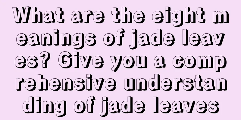 What are the eight meanings of jade leaves? Give you a comprehensive understanding of jade leaves