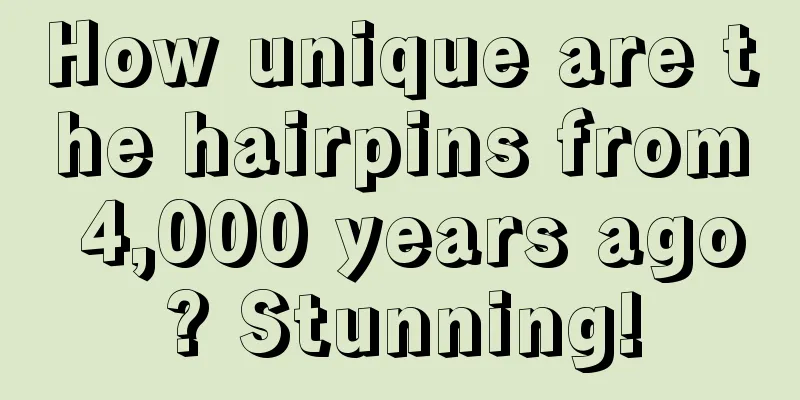 How unique are the hairpins from 4,000 years ago? Stunning!