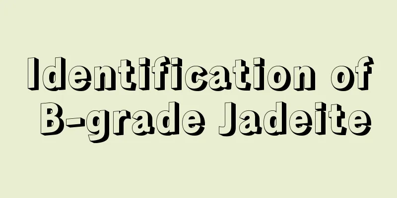 Identification of B-grade Jadeite