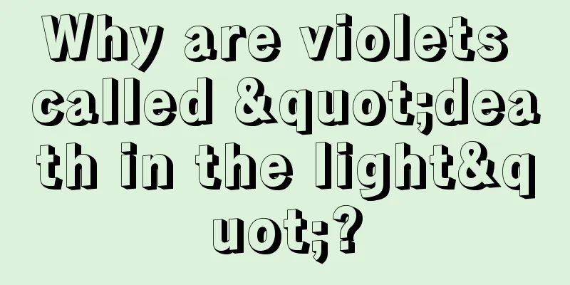 Why are violets called "death in the light"?