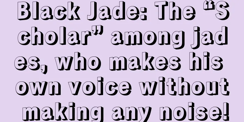 Black Jade: The “Scholar” among jades, who makes his own voice without making any noise!