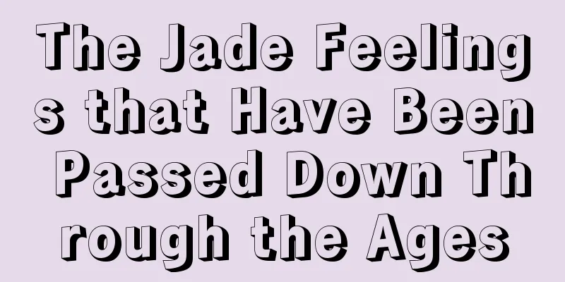 The Jade Feelings that Have Been Passed Down Through the Ages