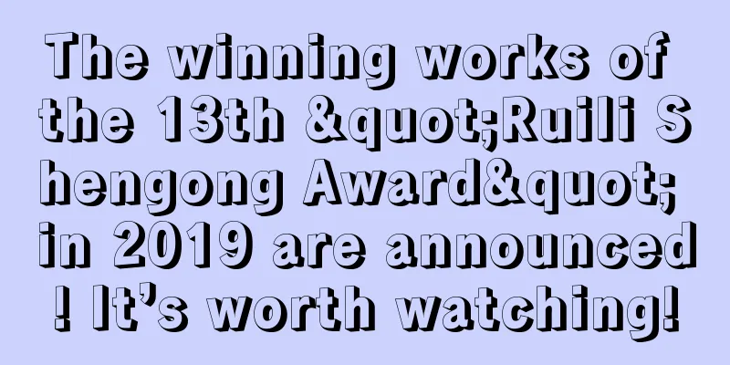 The winning works of the 13th "Ruili Shengong Award" in 2019 are announced! It’s worth watching!