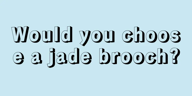 Would you choose a jade brooch?