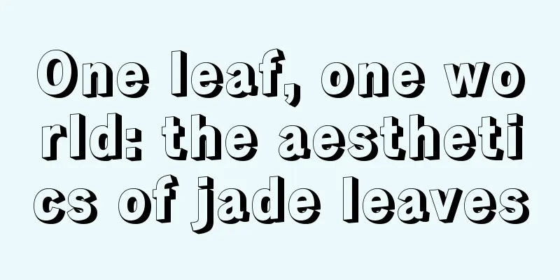 One leaf, one world: the aesthetics of jade leaves