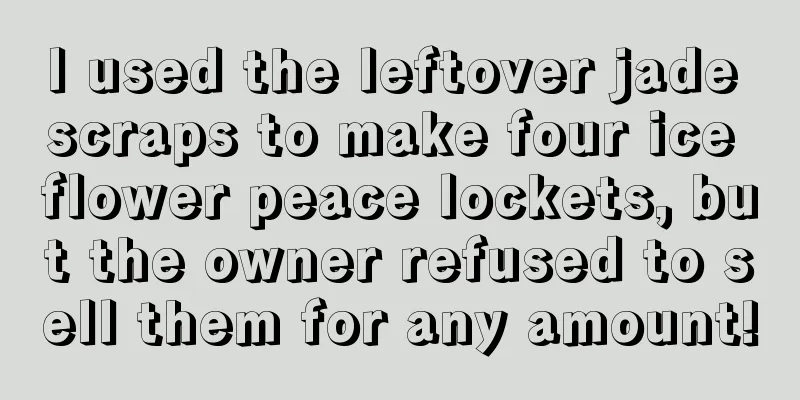 I used the leftover jade scraps to make four ice flower peace lockets, but the owner refused to sell them for any amount!
