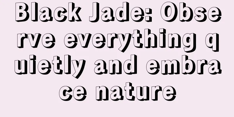 Black Jade: Observe everything quietly and embrace nature