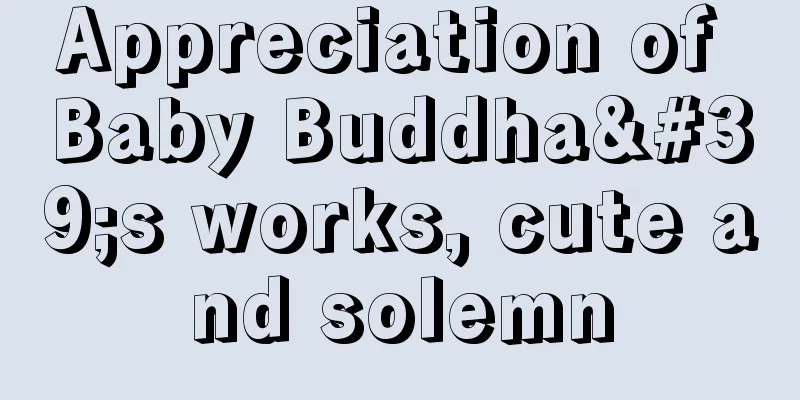 Appreciation of Baby Buddha's works, cute and solemn