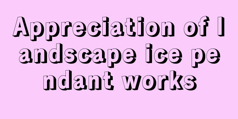 Appreciation of landscape ice pendant works