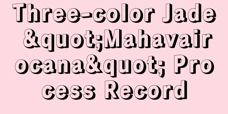 Three-color Jade "Mahavairocana" Process Record