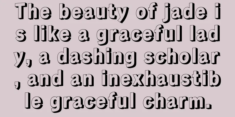 The beauty of jade is like a graceful lady, a dashing scholar, and an inexhaustible graceful charm.