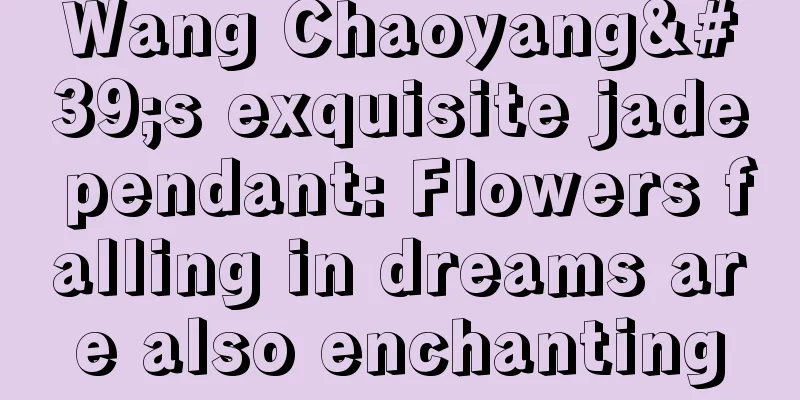 Wang Chaoyang's exquisite jade pendant: Flowers falling in dreams are also enchanting