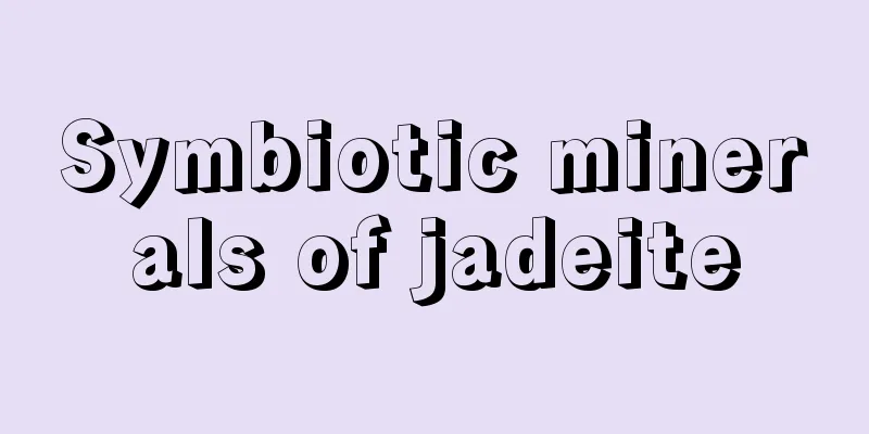 Symbiotic minerals of jadeite