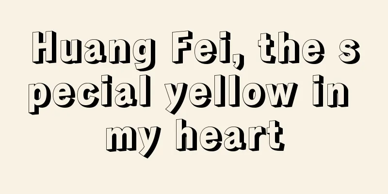 Huang Fei, the special yellow in my heart