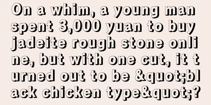 On a whim, a young man spent 3,000 yuan to buy jadeite rough stone online, but with one cut, it turned out to be "black chicken type"?